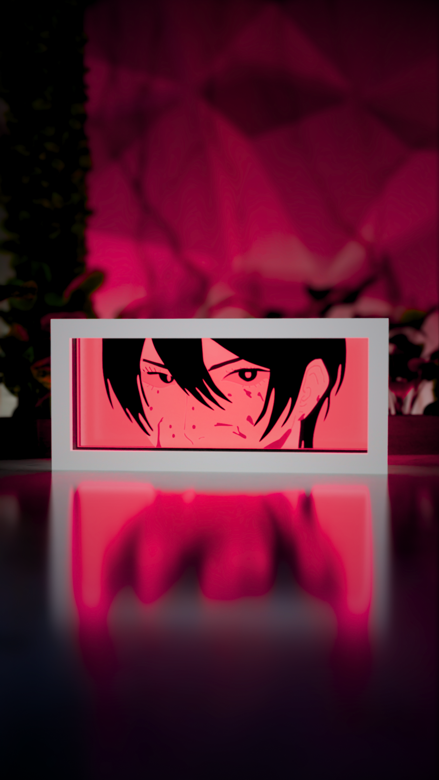 Mikasa
